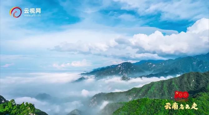 微信圖片_20211229180230 微信圖片_20211229180230