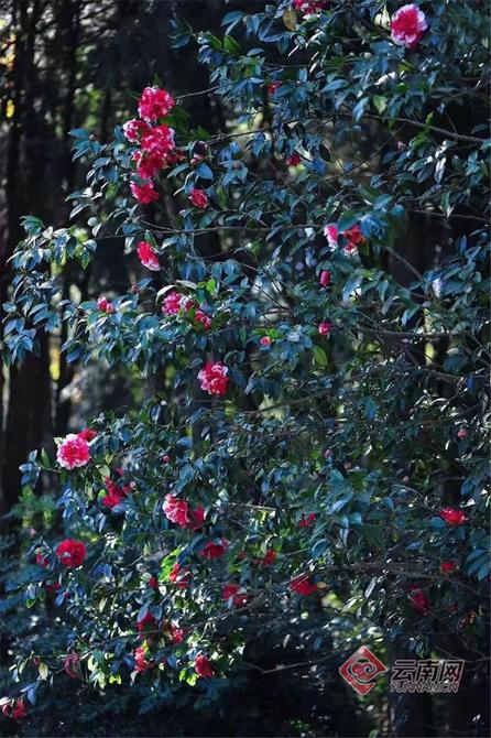 00304378770_76db5203