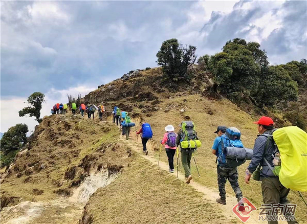 00304380658_17788254