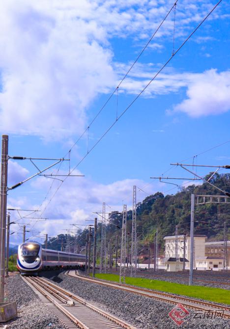 00304385449_c31d61fc 00304385449_c31d61fc