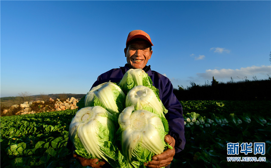 1310406713_16411725997151n 1310406713_16411725997151n