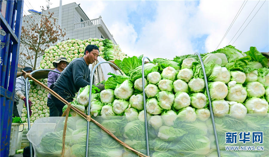 1310406713_16411725998401n 1310406713_16411725998401n