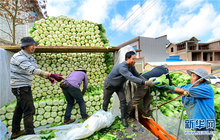 1310406713_16411725999021n 1310406713_16411725999021n