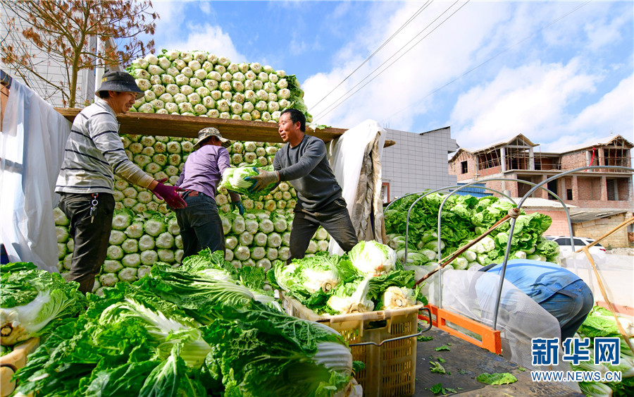 1310406713_16411725999961n 1310406713_16411725999961n