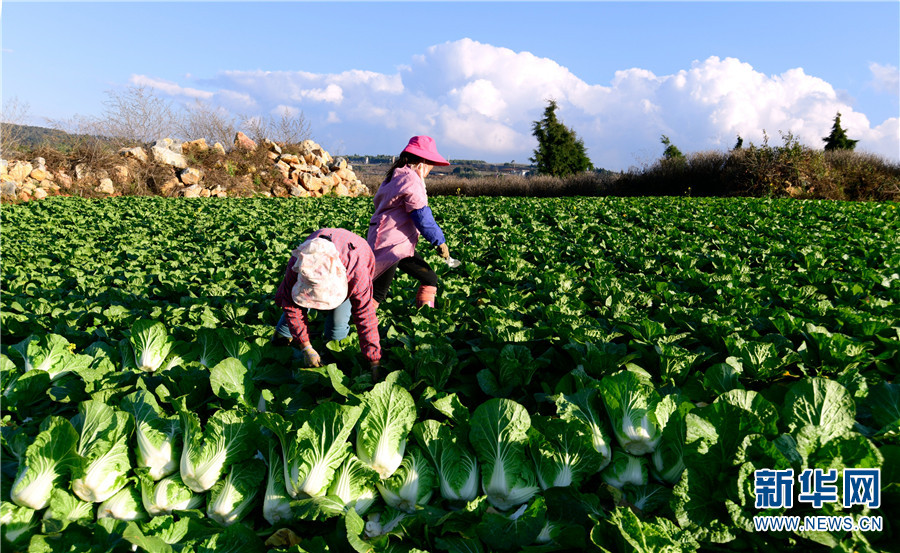 1310406713_16411726001361n 1310406713_16411726001361n