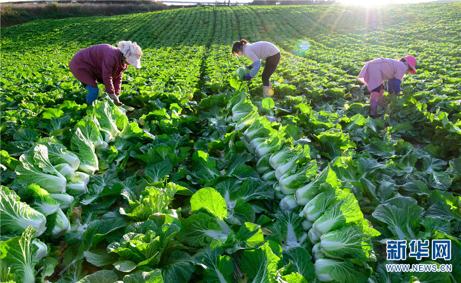 1310406713_16411726002151n 1310406713_16411726002151n