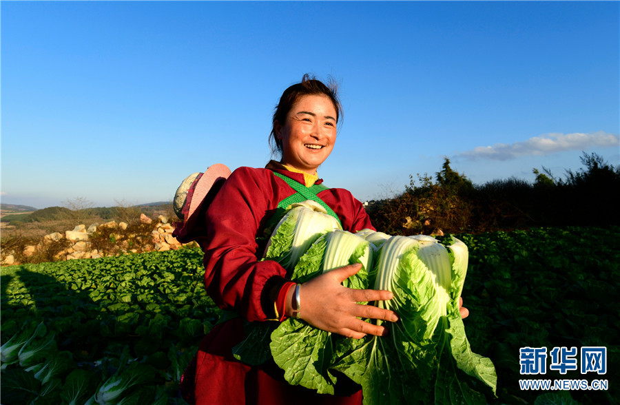 1310406713_16411726003081n 1310406713_16411726003081n