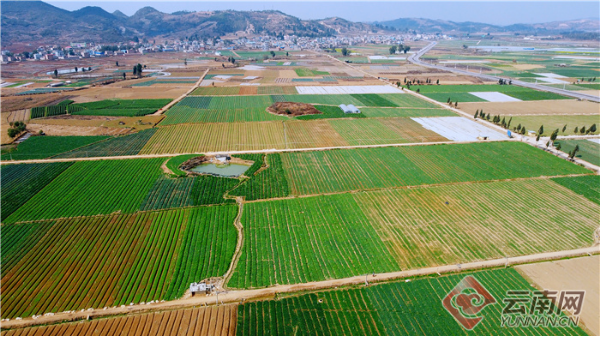 00304381498_16770b0a 00304381498_16770b0a