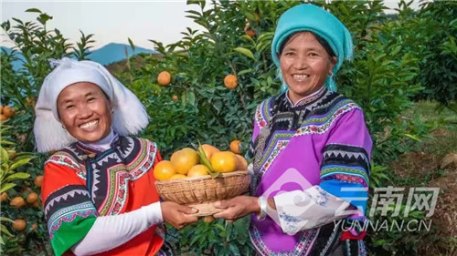 00304388288_25f68f1f