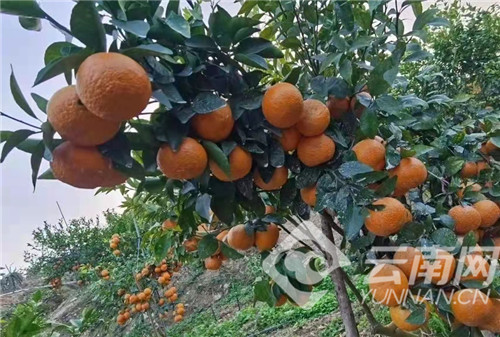 00304388287_356d9e79