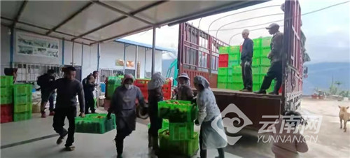 00304388286_e9c13666