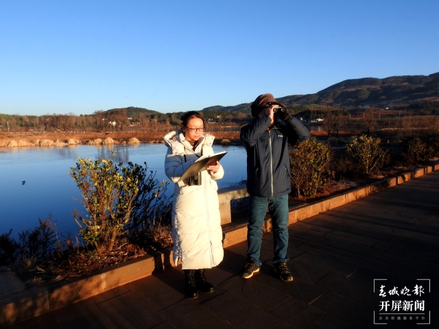 1507只！云南會(huì)澤率先完成全國鶴類同步調(diào)查工作（開屏新聞?dòng)浾?蔣瓊波 通訊員 袁嶸 周永恒 李薇 柳霽純 攝）