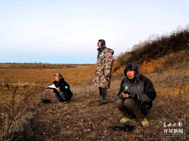 1507只！云南會(huì)澤率先完成全國鶴類同步調(diào)查工作（開屏新聞?dòng)浾?蔣瓊波 通訊員 袁嶸 周永恒 李薇 柳霽純 攝）