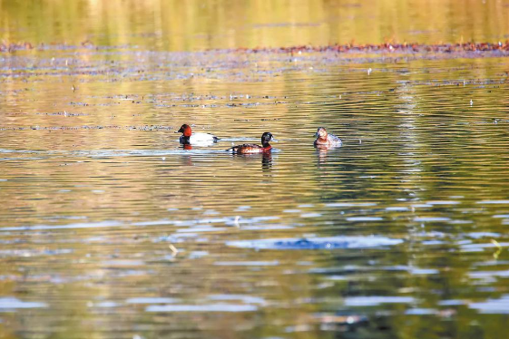 微信截圖_20220106083405 微信截圖_20220106083405