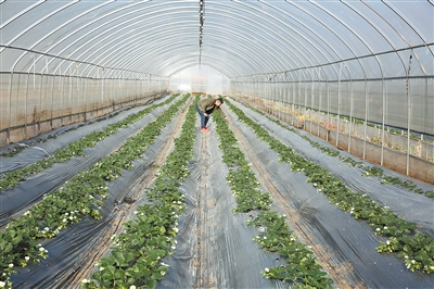 res01_attpic_brief res01_attpic_brief