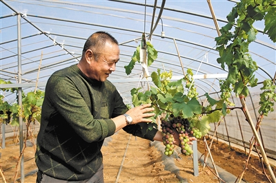 res04_attpic_brief res04_attpic_brief