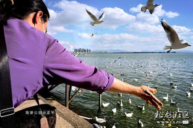 16412793764823573656885602320_5304 16412793764823573656885602320_5304