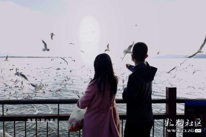 16412793767917788888038924044_5304 16412793767917788888038924044_5304