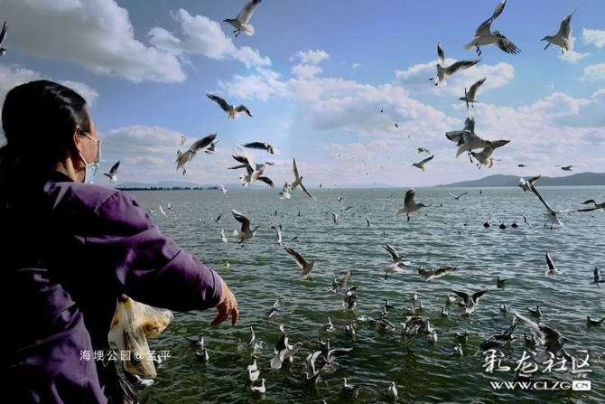 16412793764802966049402845020_5304 16412793764802966049402845020_5304