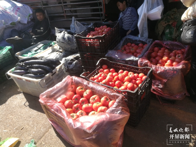 番茄價格上漲 夏體雷 攝