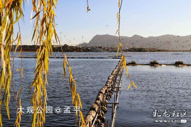 16416016736223000336555060615_5304 16416016736223000336555060615_5304