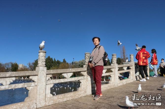 16416016736406464411025164951_5304 16416016736406464411025164951_5304