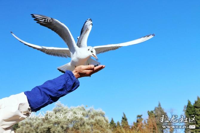 16416016734897770160107572351_5304 16416016734897770160107572351_5304