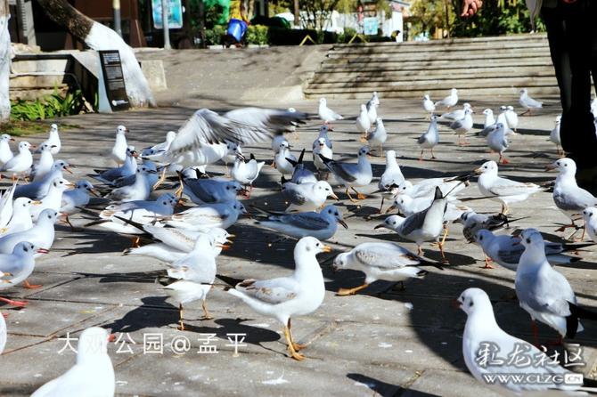 16416016737208863701847521605_5304 16416016737208863701847521605_5304