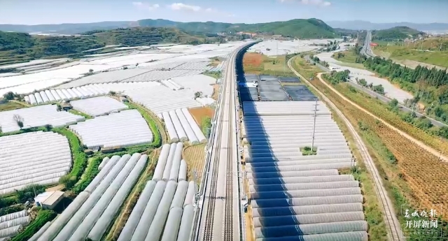 晉寧集中力量打造亞洲鮮切花產(chǎn)業(yè)基地 (1).jpg