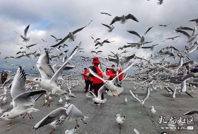 16418908818909929976838269477_5504 16418908818909929976838269477_5504