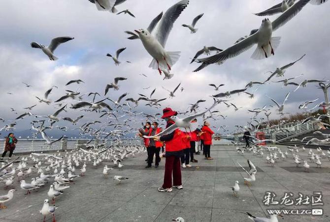 16418908814656284102753166746_5504 16418908814656284102753166746_5504