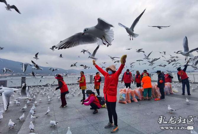 16418908817677105696865746394_5504 16418908817677105696865746394_5504