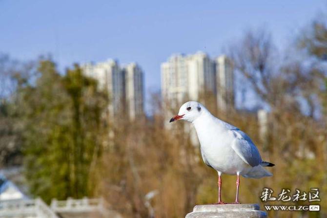 16419000797187799689320351730_5504 16419000797187799689320351730_5504