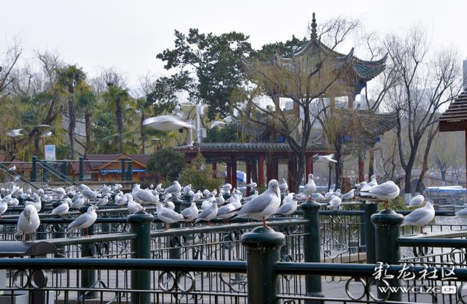 16419000796796005171058323914_5504 16419000796796005171058323914_5504