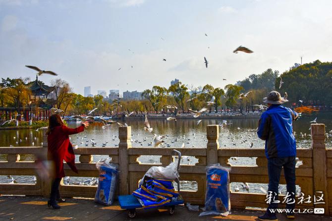 16419000796416656186350707240_5504 16419000796416656186350707240_5504