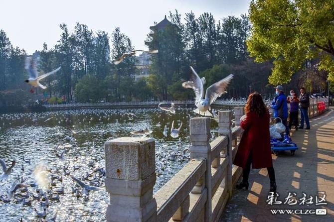 16419000798267270866335416918_5504 16419000798267270866335416918_5504