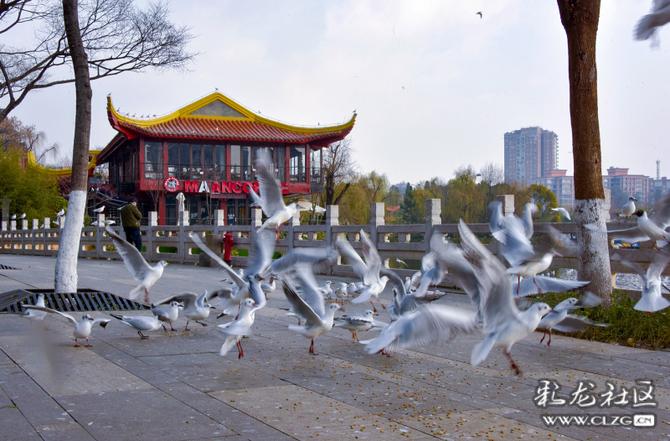 16419000798676318401596482353_5504 16419000798676318401596482353_5504