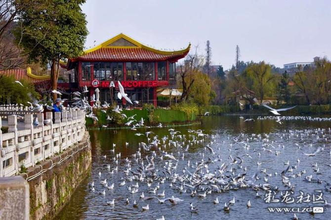 16419000798423957041214426070_5504 16419000798423957041214426070_5504