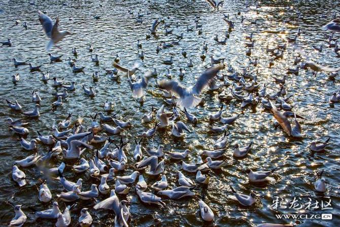 16419000794788687793496048970_5504 16419000794788687793496048970_5504