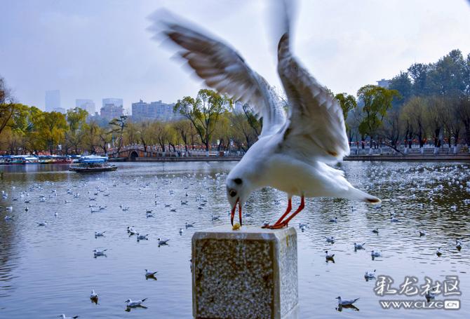 16419000795480571178492811567_5504 16419000795480571178492811567_5504