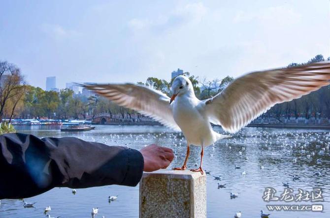 16419000798091383792401788058_5504 16419000798091383792401788058_5504