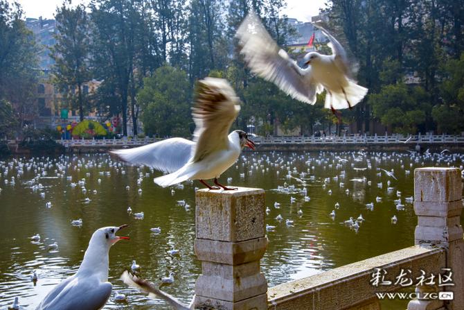 16419000798239538785720715175_5504 16419000798239538785720715175_5504