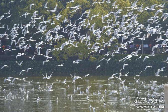 16419000798332846995439734057_5504 16419000798332846995439734057_5504