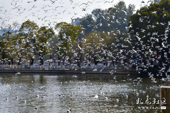 16419000797979227748652231784_5504 16419000797979227748652231784_5504