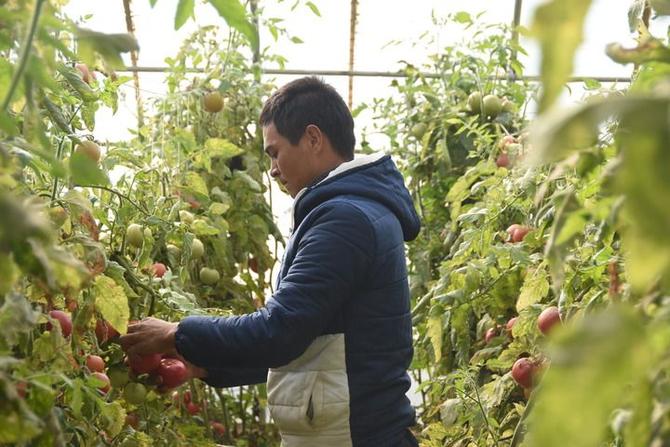 6c22b9363b2e4b57ab47fde5ce974a78