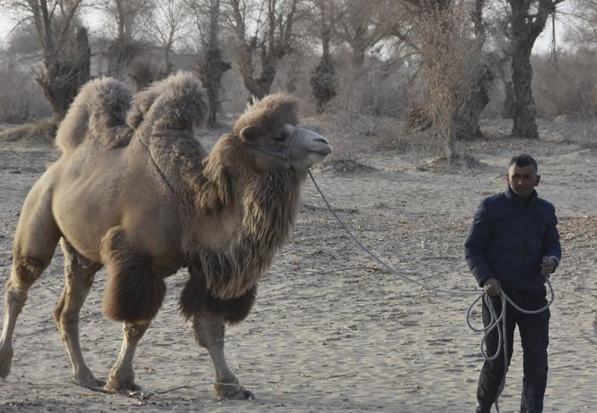 82550a7442b843bfad47edbd18398d4e