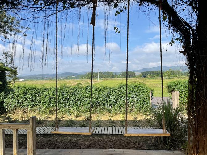 優(yōu)惠多多！西雙版納各個景區(qū)正在陸續(xù)開放（部分圖片由西雙版納州文旅局提供）