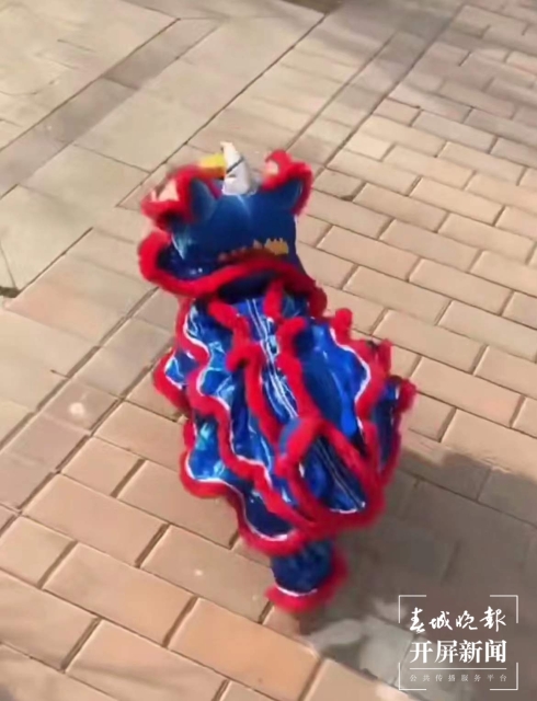 新年元素的寵物用品持續(xù)熱銷（馬藝寧 實習生 梁燕灝宇 楊宇婷 攝）