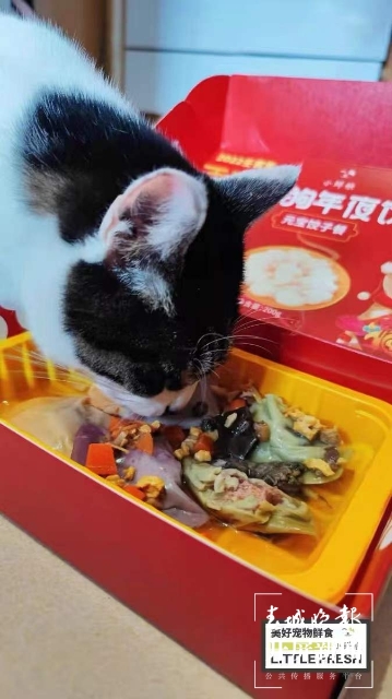 新年元素的寵物用品持續(xù)熱銷（馬藝寧 實習生 梁燕灝宇 楊宇婷 攝）