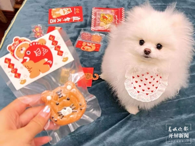 新年元素的寵物用品持續(xù)熱銷（馬藝寧 實習生 梁燕灝宇 楊宇婷 攝）